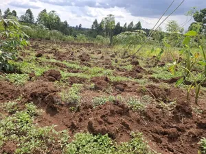 Land for Sale in Vumba Zirobwe Road