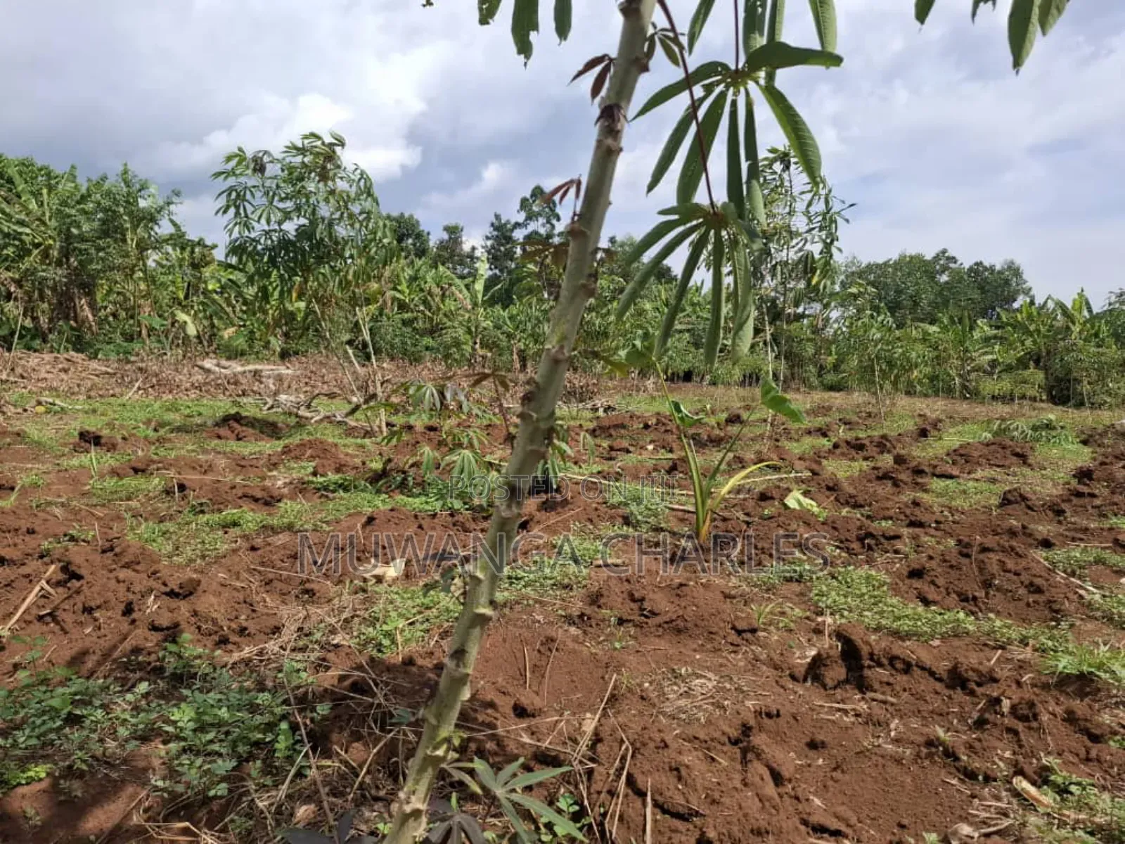Land for Sale in Vumba Zirobwe Road