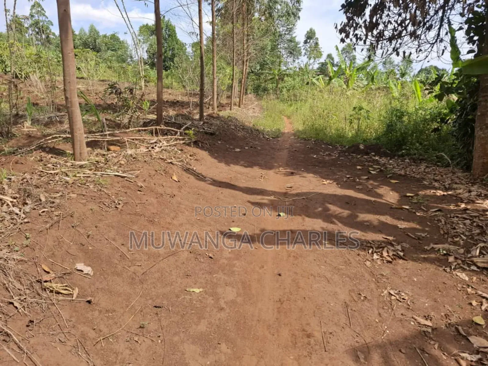 Land for Sale in Vumba Zirobwe Road