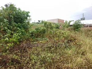Plot for Sale in Nangabo Kiti