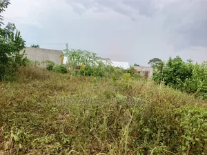 Plot for Sale in Nangabo Kiti