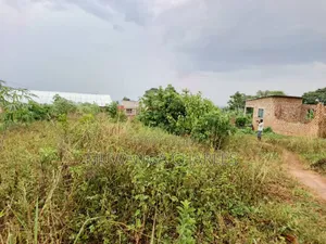 Plot for Sale in Nangabo Kiti