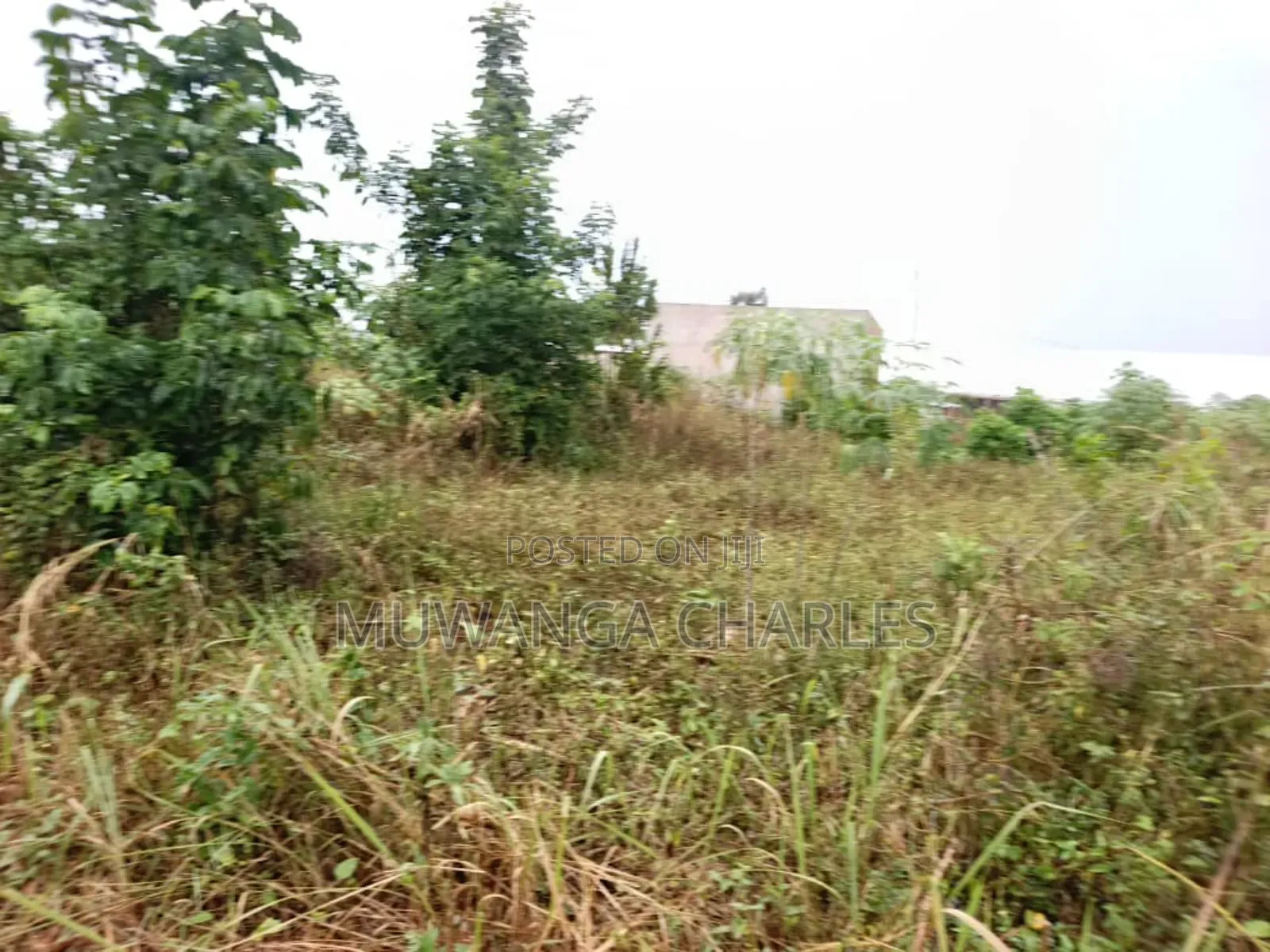 Plot for Sale in Nangabo Kiti