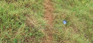 Plot's for Sale in Kira Shimon 2