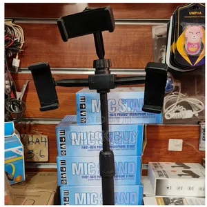 First Rate Unique Microphone Stage