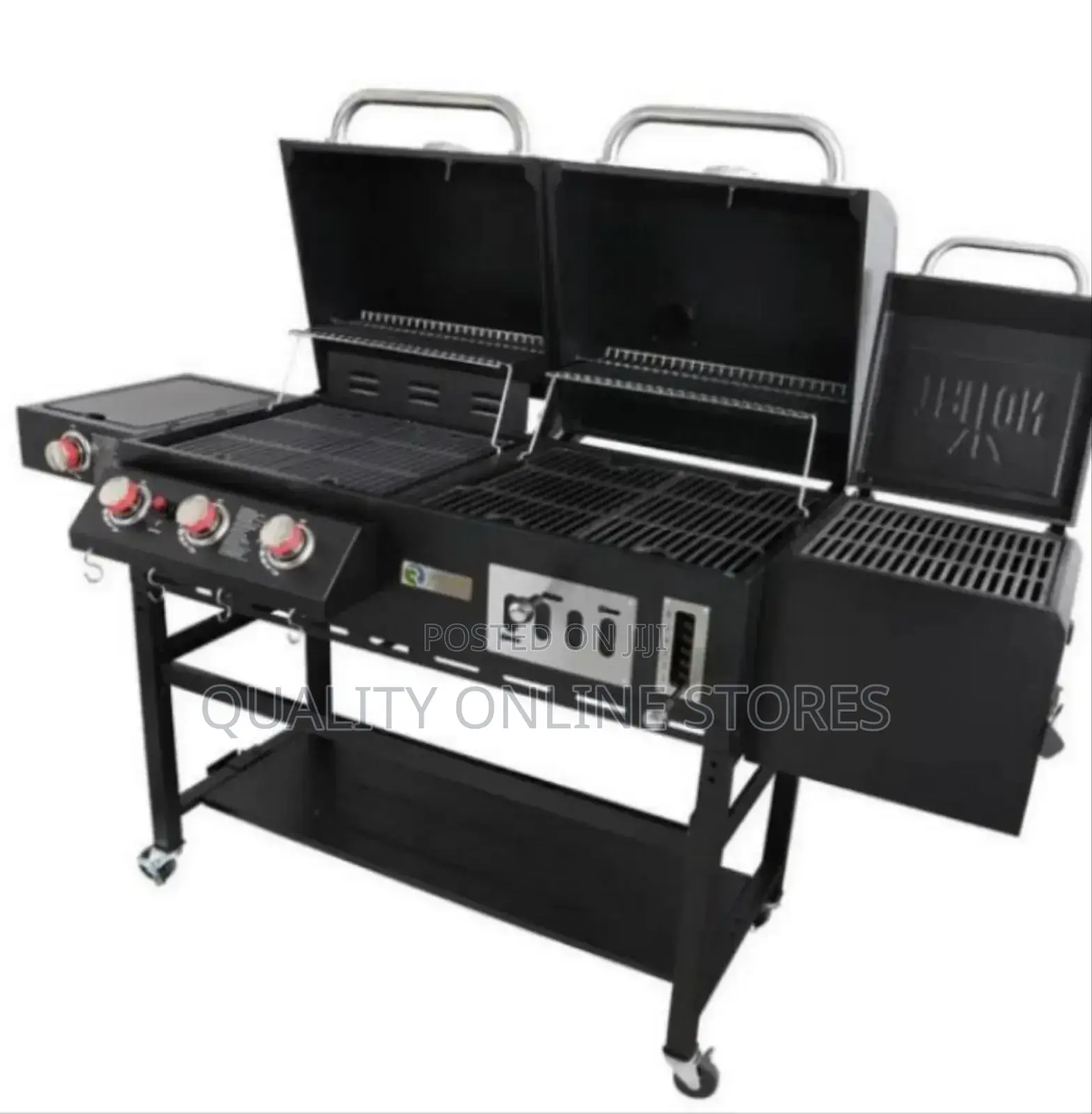 BBQ Grill Charcoal and Gass