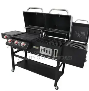 BBQ Grill Charcoal and Gass