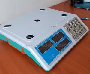 Multifunctional Food Weighing Scale 40kg Weigh Digital Weighing Scale