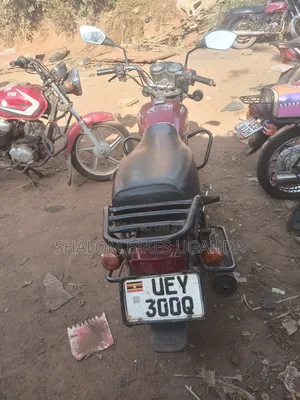 TVS HLX 125 2019 Red