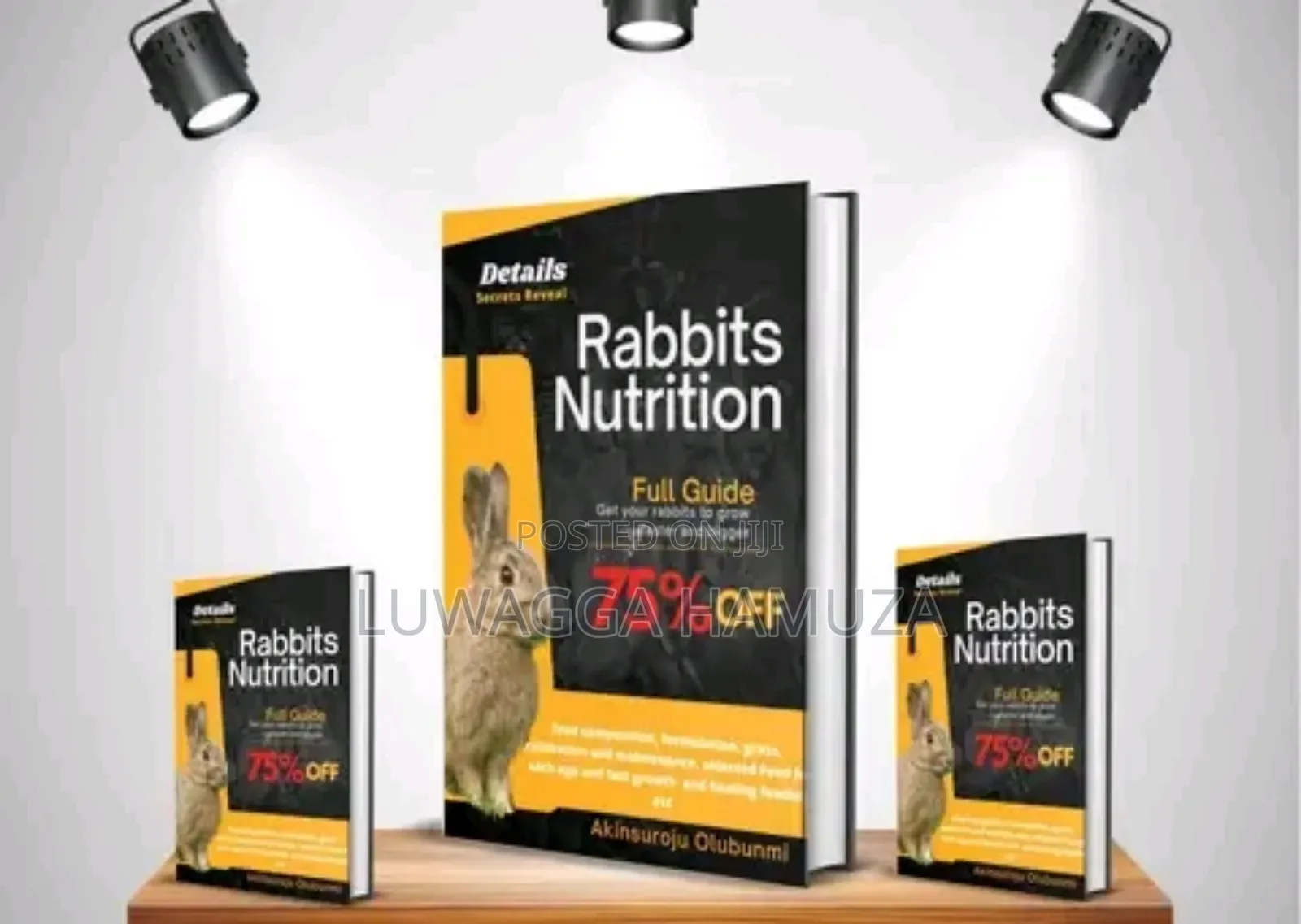 Rabbit Books