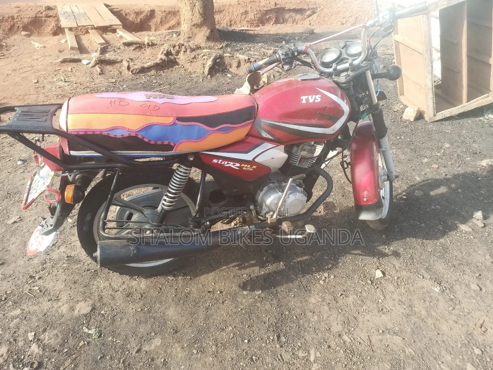 TVS HLX 125 2022 Red