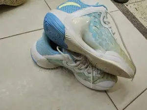 Original Shoe for Basketball Ball
