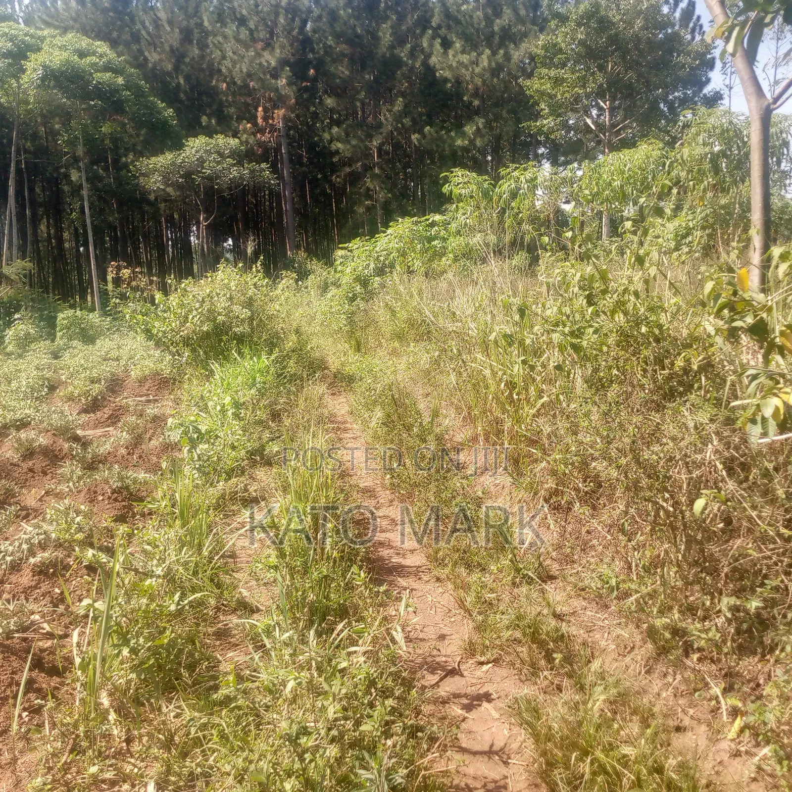 1 Square Miles for Sale at Kayunga Bale