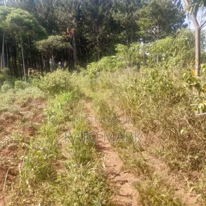 1 Square Miles for Sale at Kayunga Bale