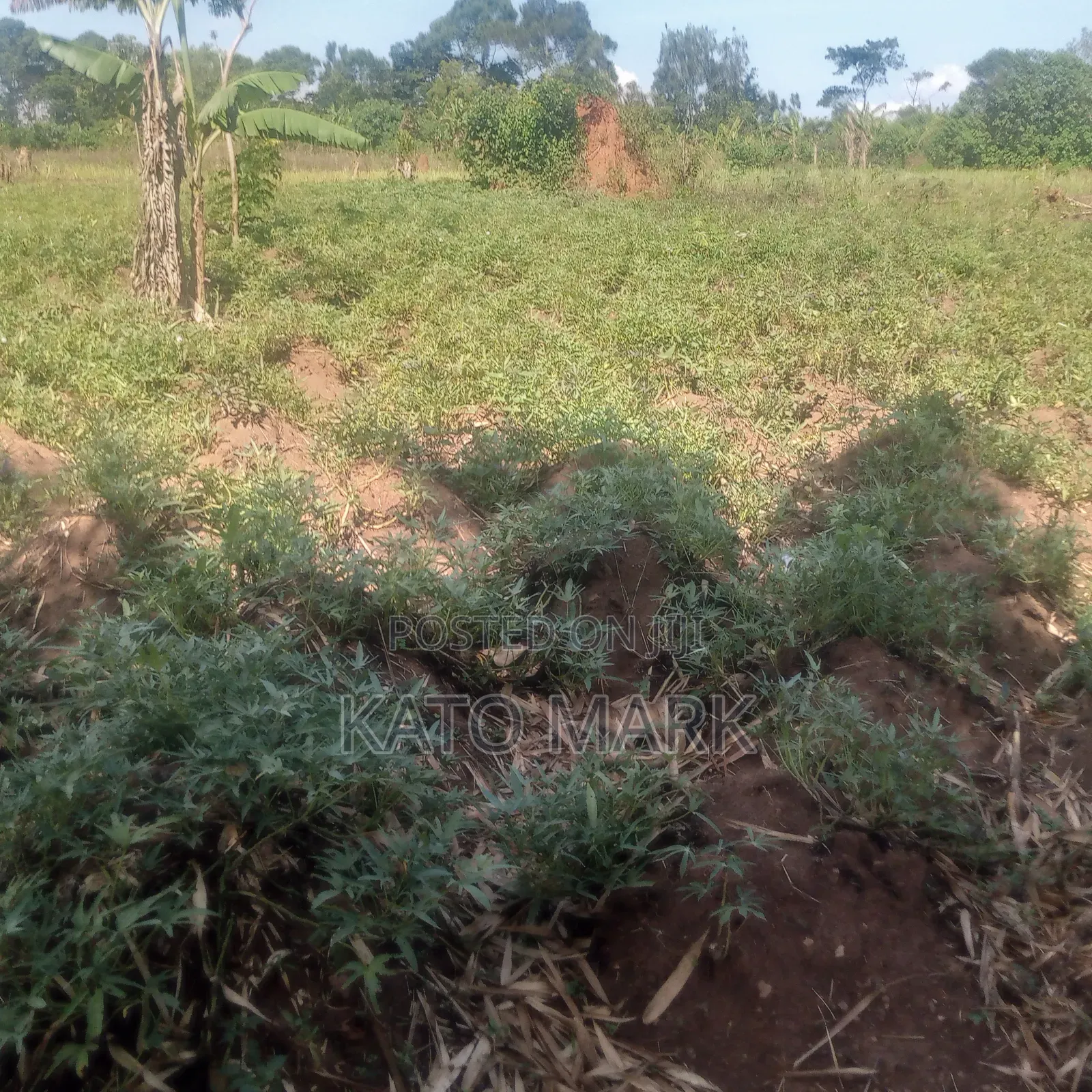 1 Square Miles for Sale at Kayunga Bale