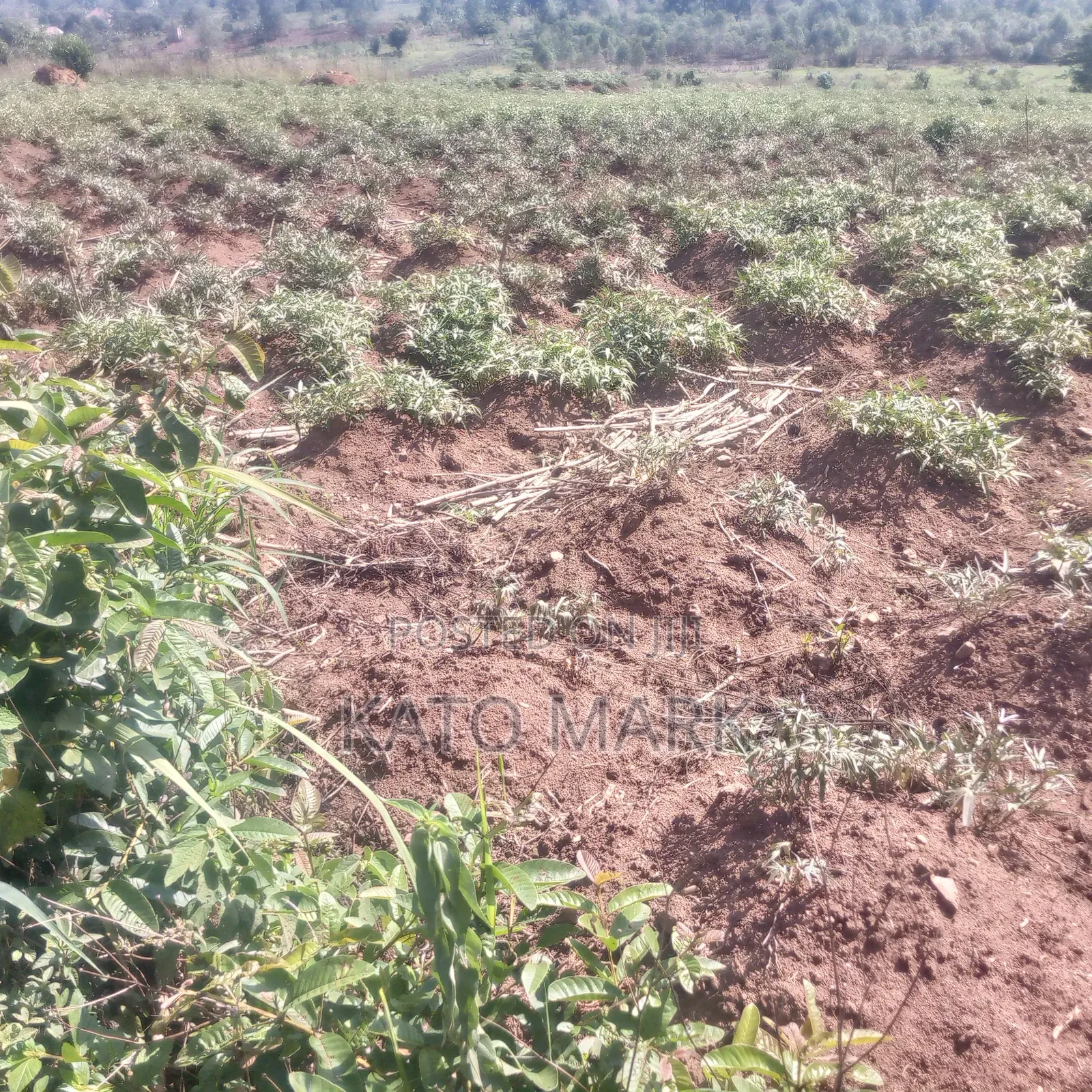 1 Square Miles for Sale at Kayunga Bale