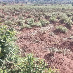 1 Square Miles for Sale at Kayunga Bale