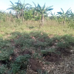 1 Square Miles for Sale at Kayunga Bale