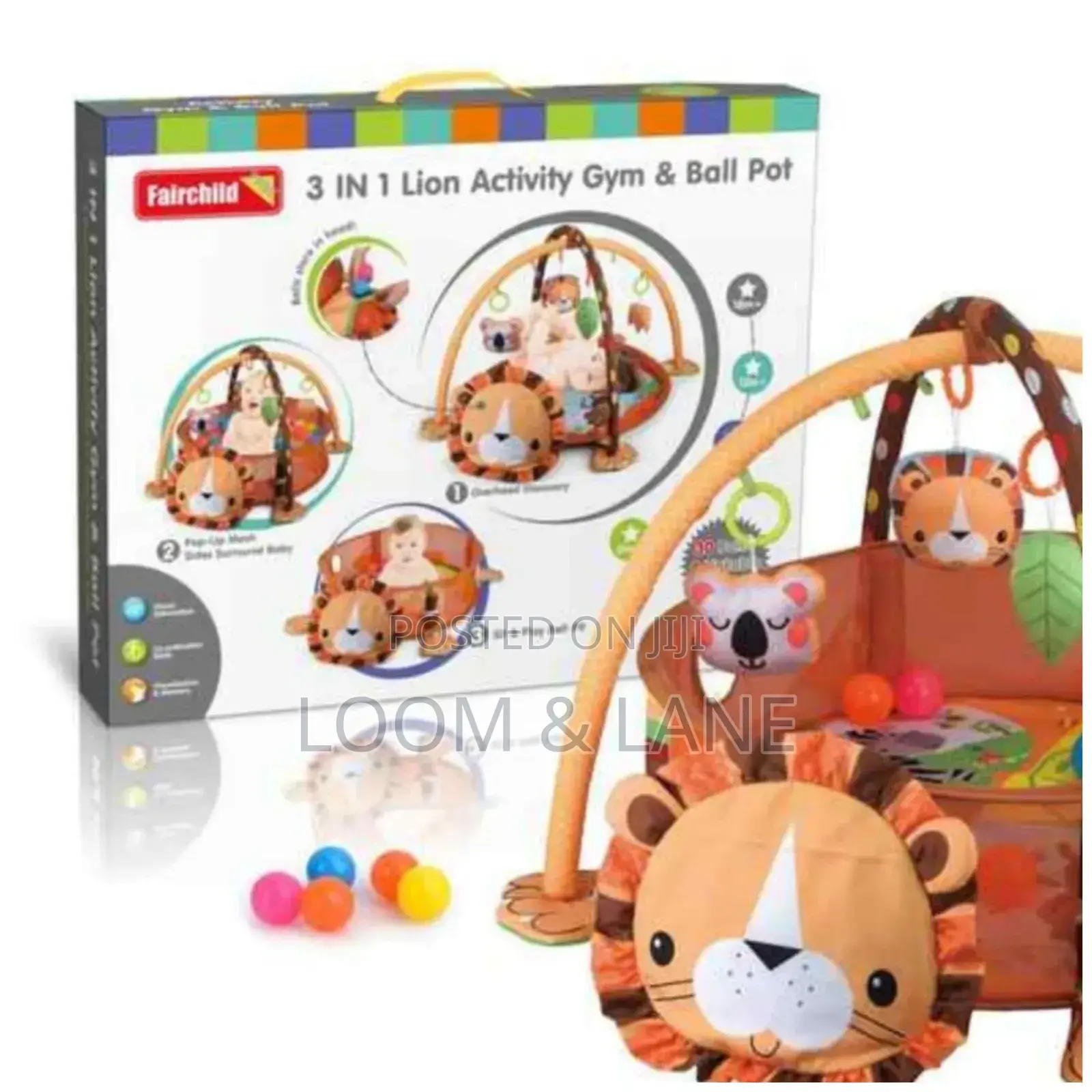 3 in 1 Lion Activity Gym and Boil Pot
