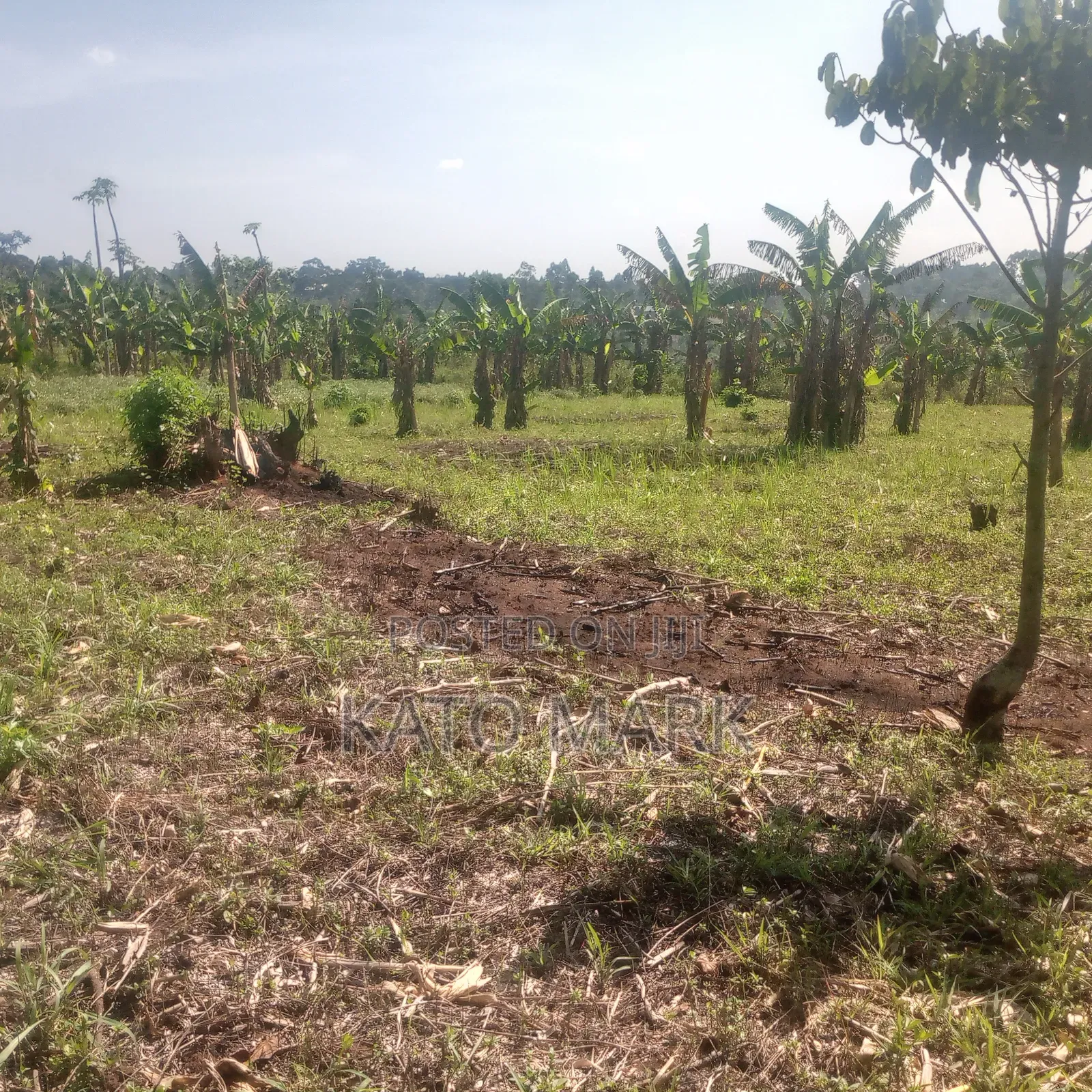 13 Acres for Sale at Mukono Nama Bulika