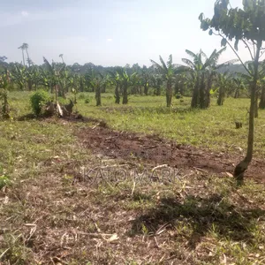13 Acres for Sale at Mukono Nama Bulika