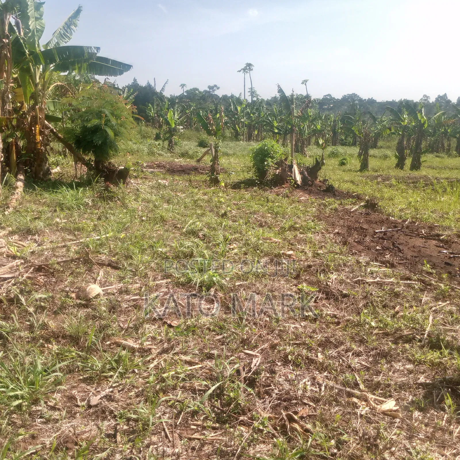 13 Acres for Sale at Mukono Nama Bulika