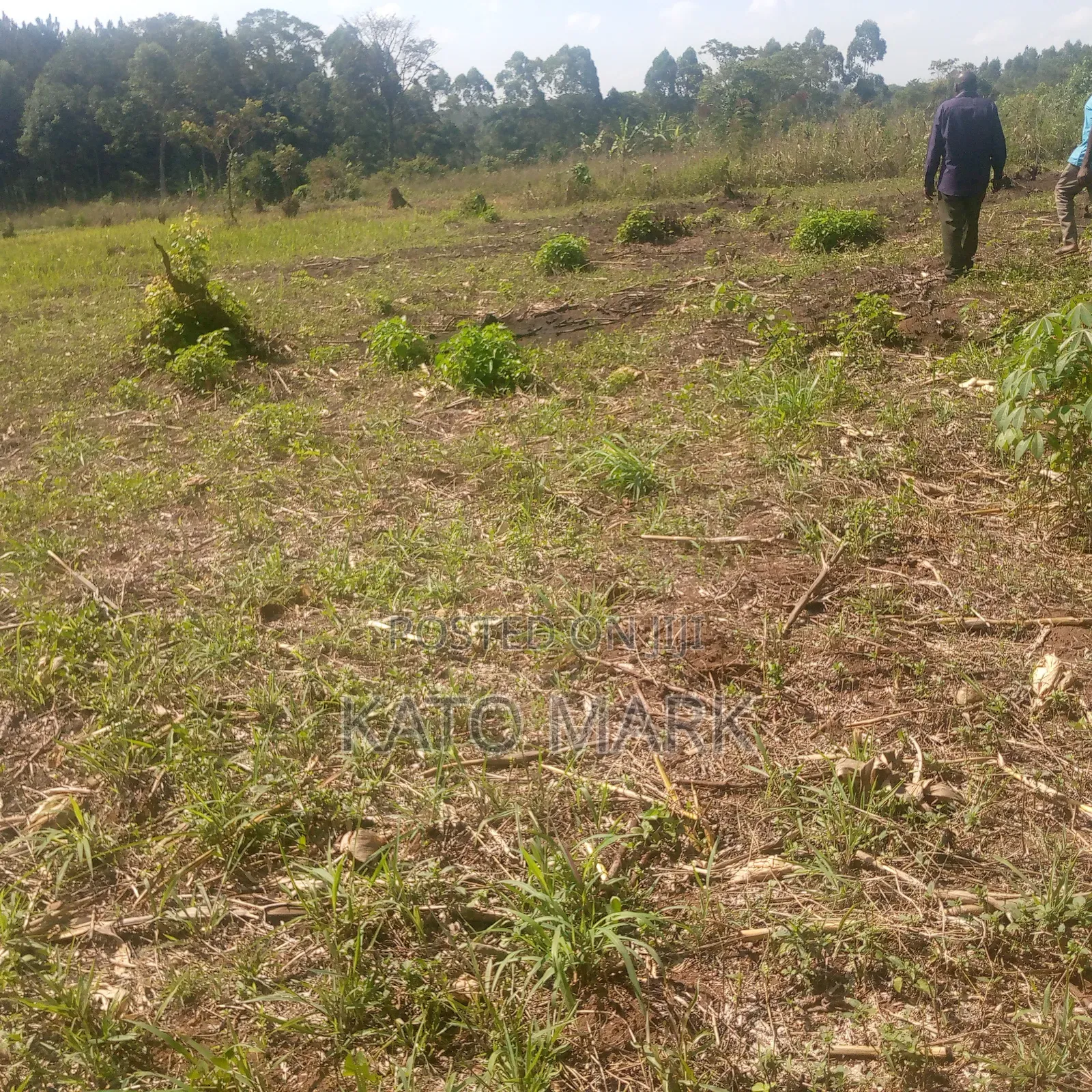 13 Acres for Sale at Mukono Nama Bulika