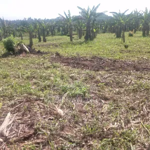 13 Acres for Sale at Mukono Nama Bulika