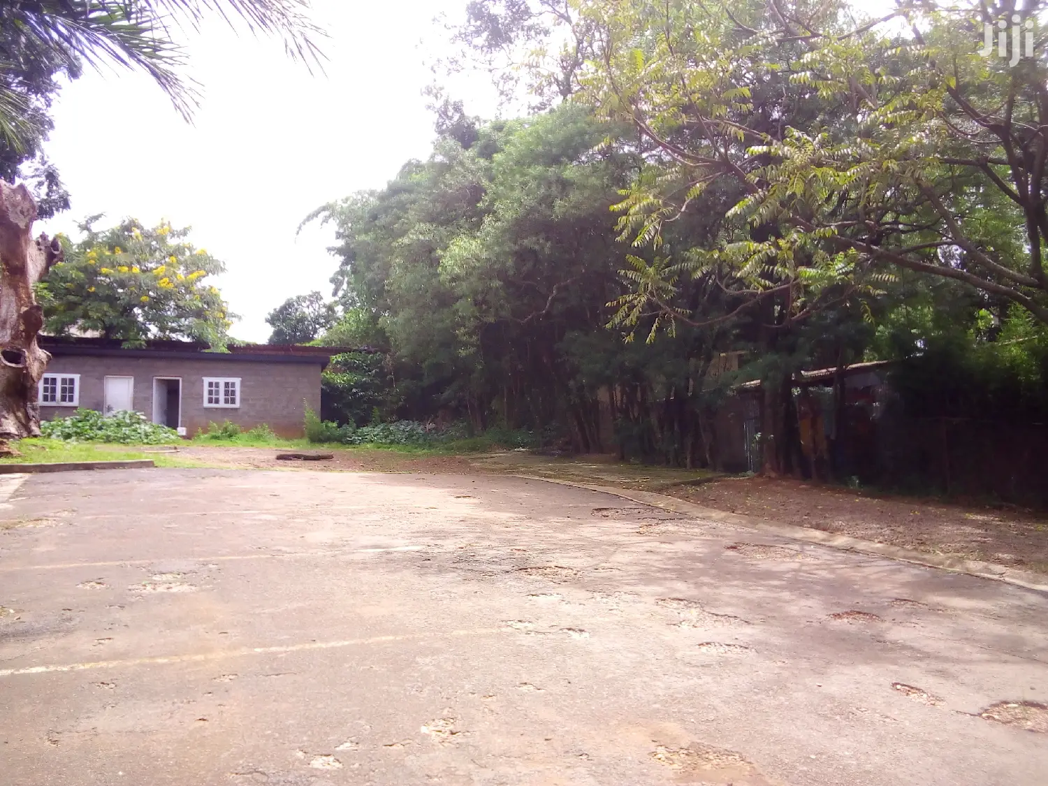Six Bedroom House In Nakasero For Rent