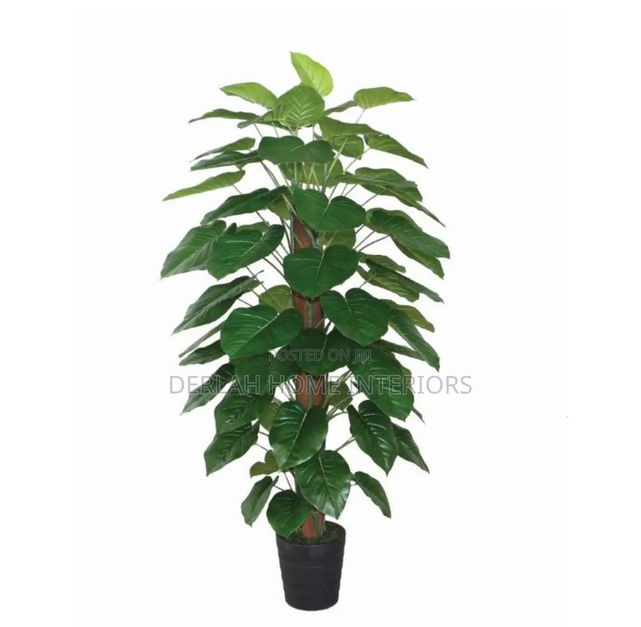 Artificial Large Plant