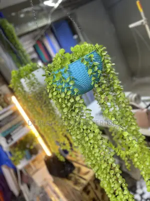 Photo - Uk Imported Swinging Plants With Pot