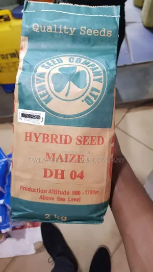 Photo - Dh 04 Hybrid Maize Seeds 2kg