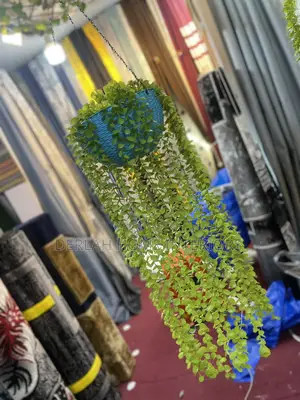 Photo - Climbing Plant Per Piece