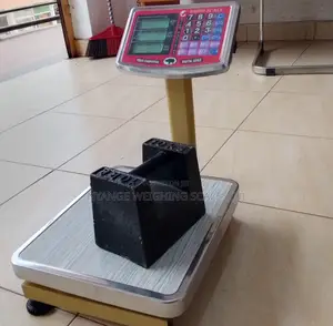 Digital Weigh Scale Food Exporters 400kg Weigh Digital Weighing Scale