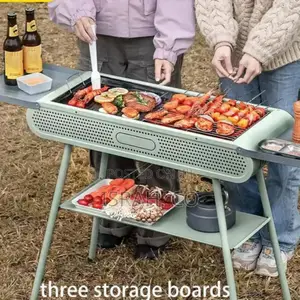 Portable Charcoal Grill, BBQ
