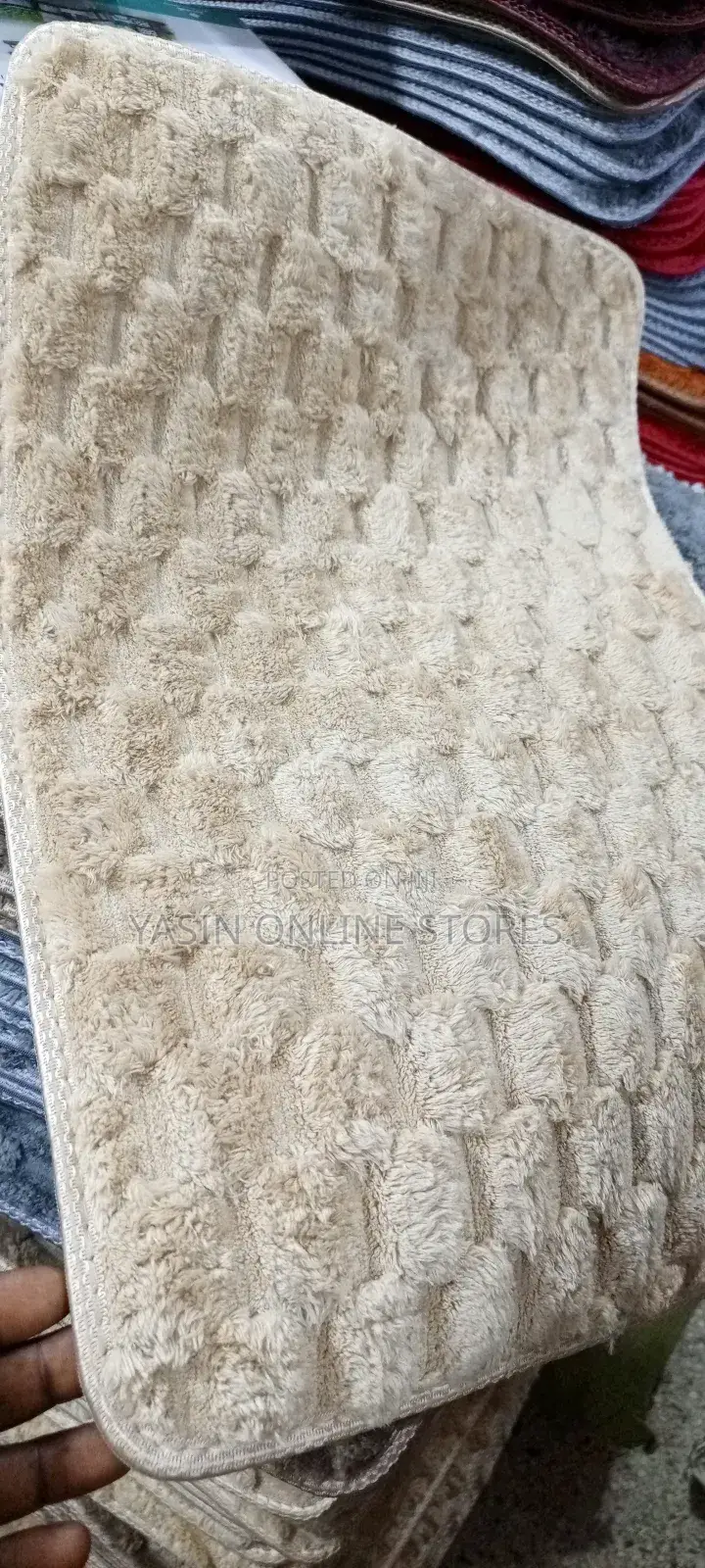 Door Mats(Rags).