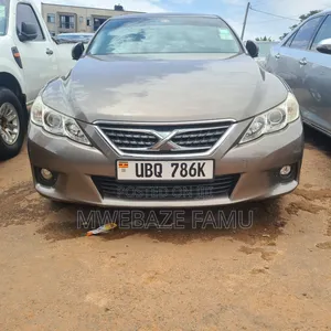 Toyota Mark X 2010 Gray