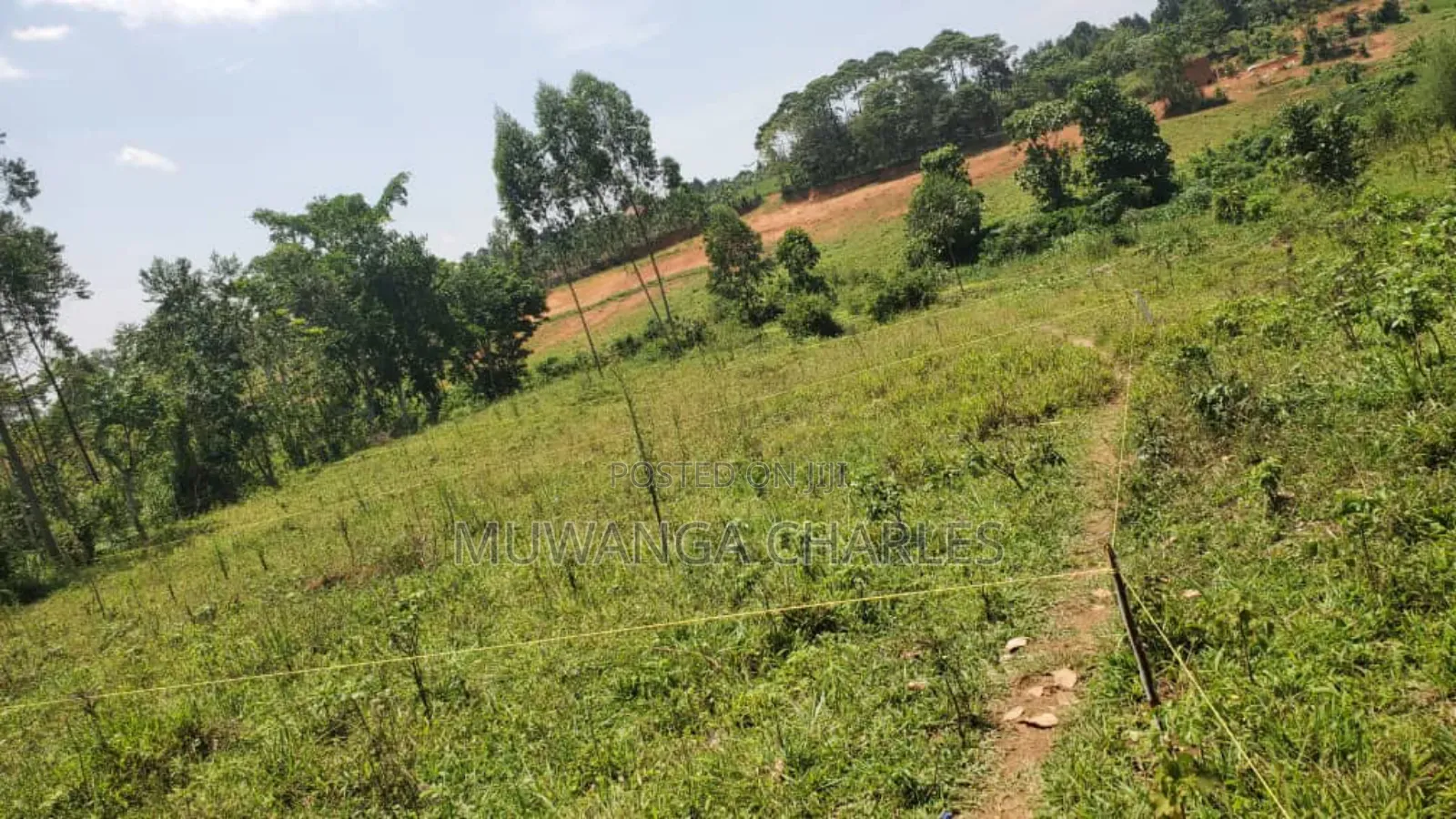 Plot's for Sale in Nangabo Nalusuga