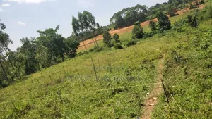 Plot's for Sale in Nangabo Nalusuga