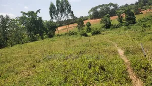 Plot's for Sale in Nangabo Nalusuga