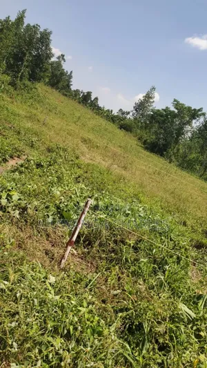 Plot's for Sale in Nangabo Nalusuga