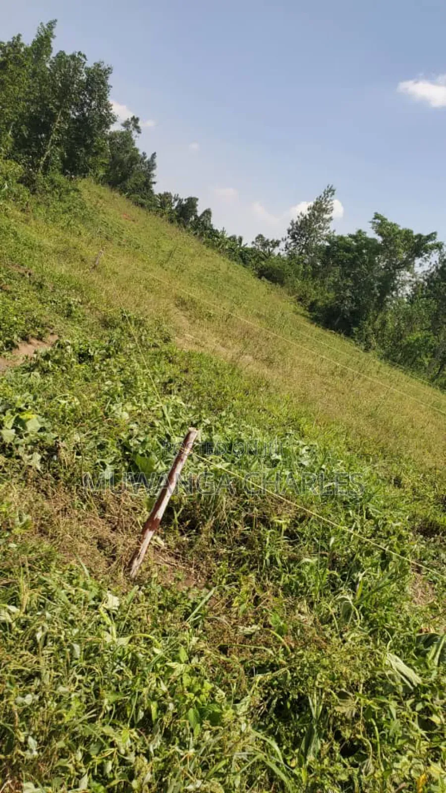 Plot's for Sale in Nangabo Nalusuga