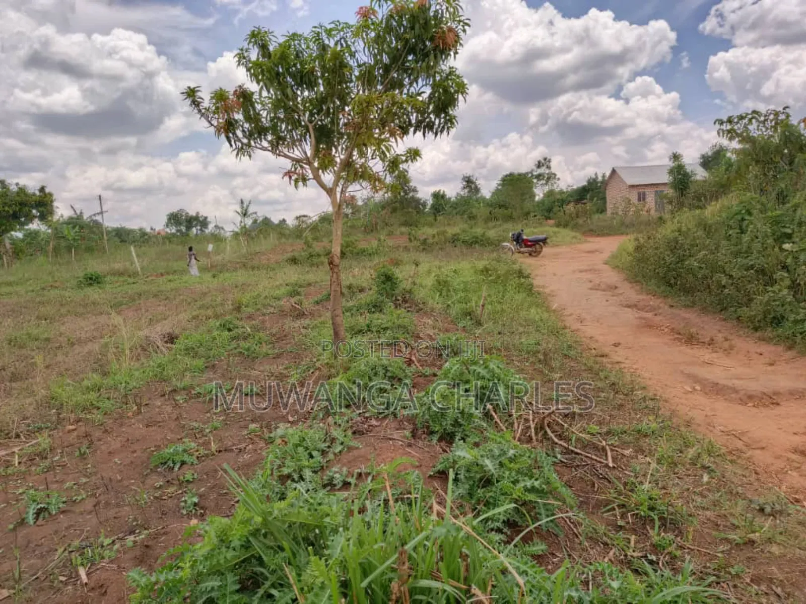 Plot for Sale in Gayaza Kabubu