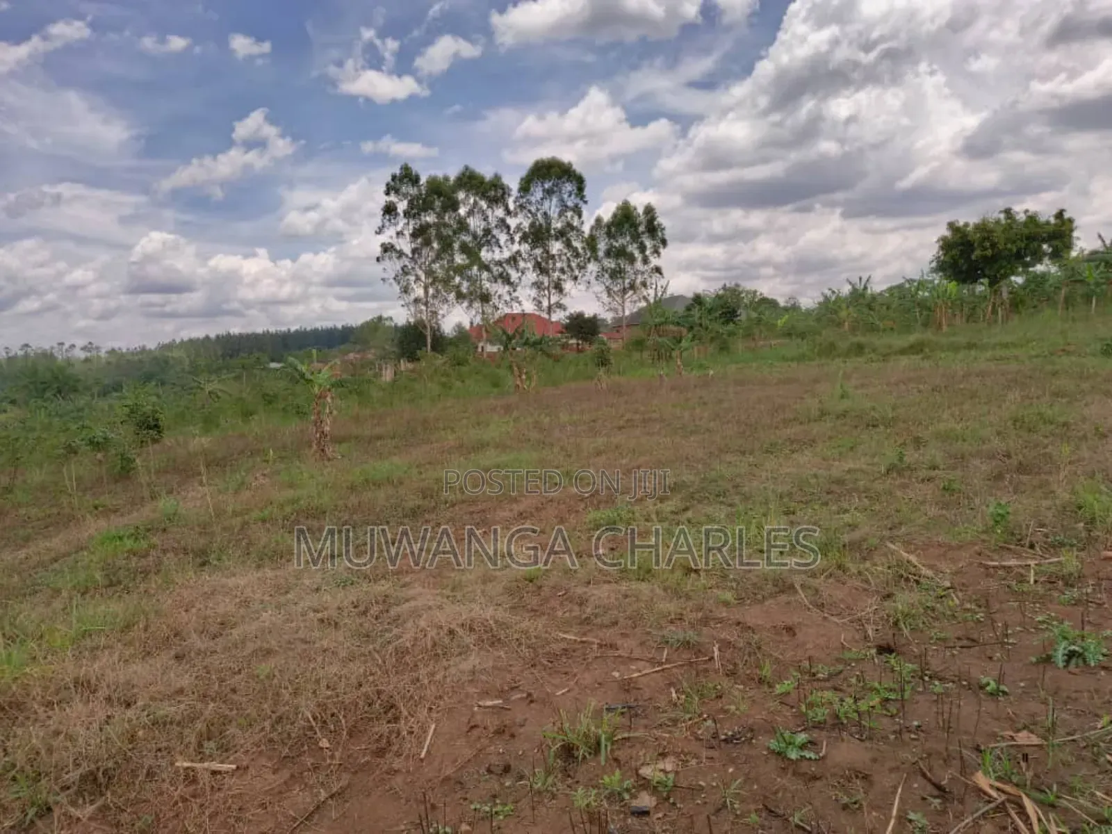 Plot for Sale in Gayaza Kabubu