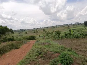Plot for Sale in Gayaza Kabubu
