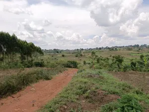 Plot for Sale in Gayaza Kabubu