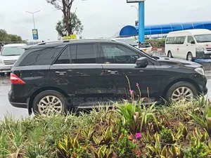 Mercedes Benz Ml 4matic/Bluetec