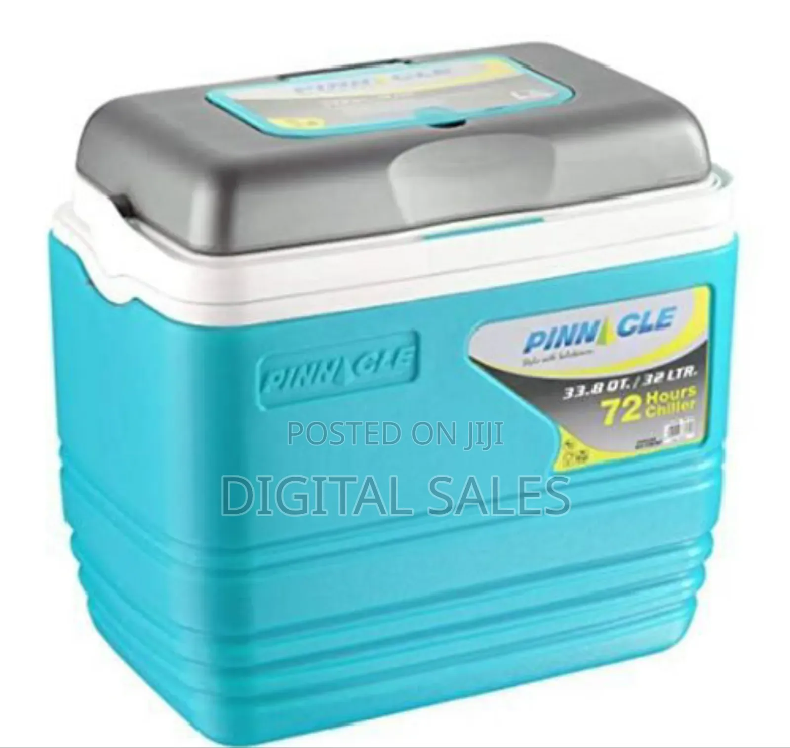 Pinnacle 25l Ice Cooler Box