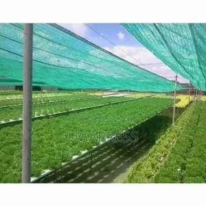 Nursery Bed Green Net