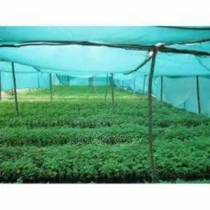 Nursery Bed Green Net